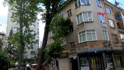 Kadıköy'de şiddetli rüzgara dayanamayan ağaç binanın üstüne devrildi