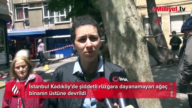 Kadıköy'de şiddetli rüzgara dayanamayan ağaç binanın üstüne devrildi