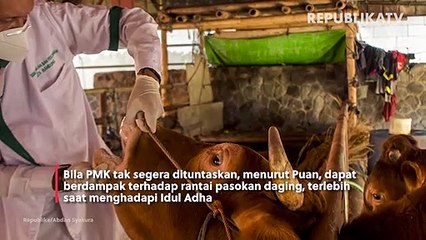 Ketua DPR Minta Pemerintah Cepat Atasi PMK Jelang Idul Adha