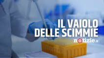 Vaiolo delle scimmie, primo caso in Italia: è un uomo tornato dalle Canarie