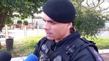 PM recupera em Maria Helena gado roubado em Campina da Lagoa