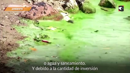 Estudio muestra que la contaminación mata a 9 millones de personas al año