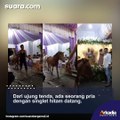 Nikahan Pakai Jalan Kampung, Warga Angon Kuda Mampir ke Tenda Pernikahan, Pengantin Cuma Bisa Tertawa