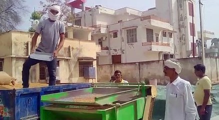 भाव का असर: महज चने की खरीद