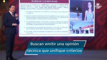 SSPC anuncia tercer peritaje sobre las causas de muerte de Debanhi Escobar