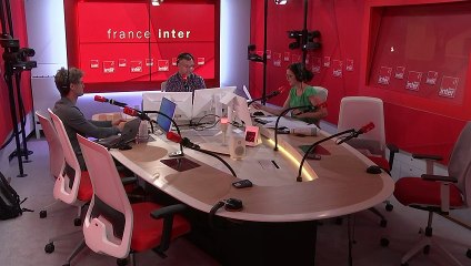 A la queuleuleu : voilà les chenilles processionnaires !