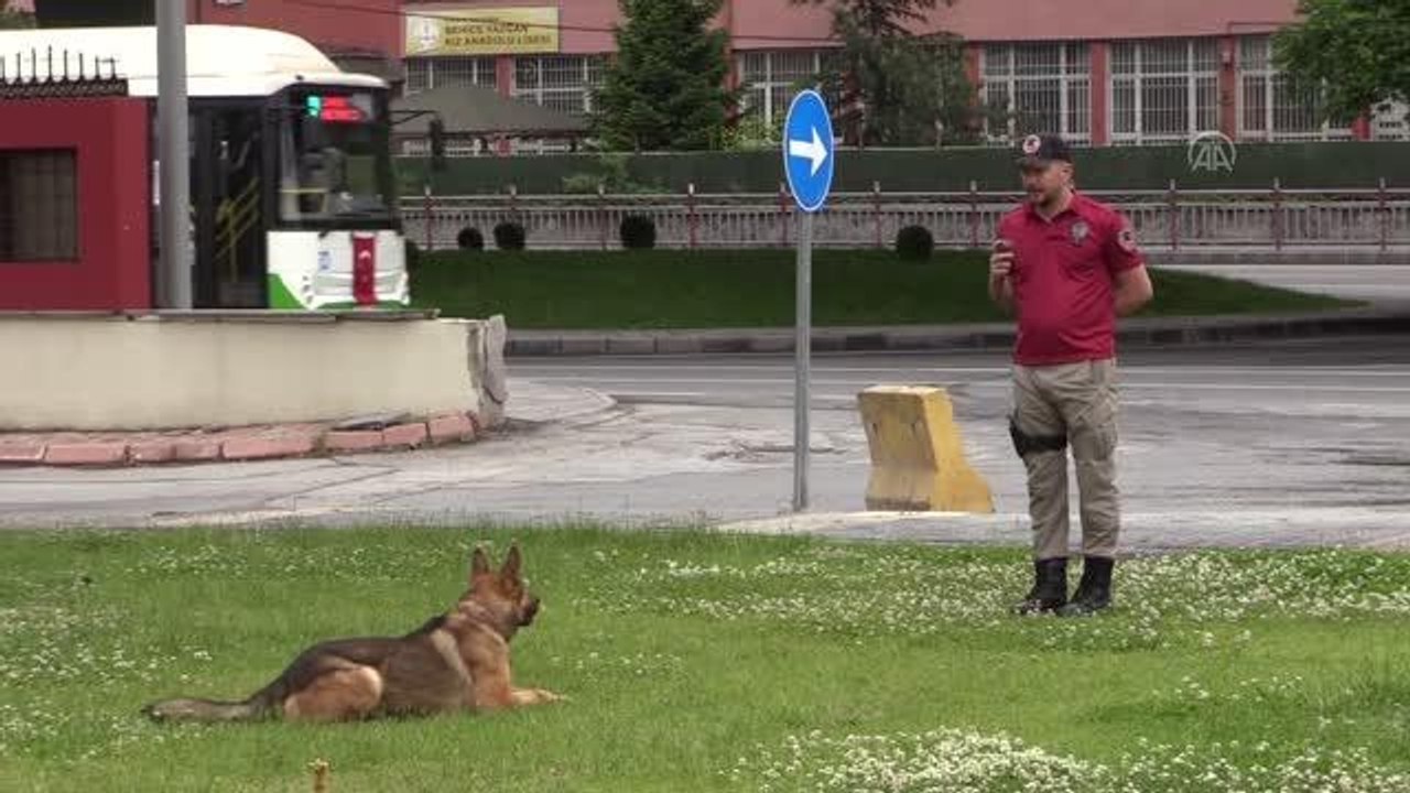 İz takip köpeği "Reks" kayıpların bulunmasında...