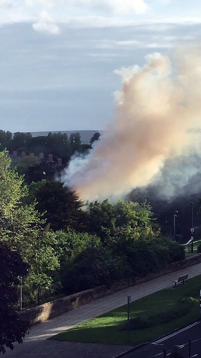 Blaze at Whitby's Pannett Park