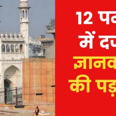 Highlights of Gyanvapi Mosque survey report