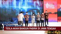 Wow! Kabar Gembira, Tesla Akan Bangun Pabrik di Jawa Tengah