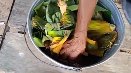 Las mujeres que conservan la tradición de preparar panochas, quequis y otros dulces de Zapatosa