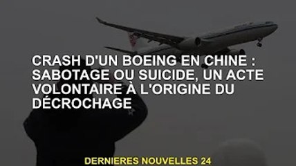 Crash de Boeing en Chine : sabotage ou suicide, acte volontaire d'origine décrochage