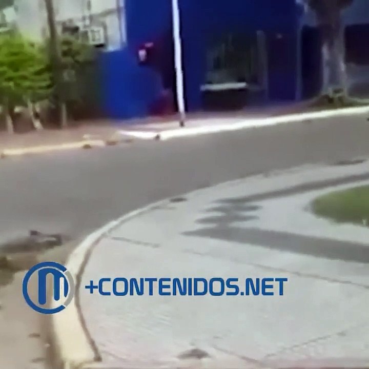 Corrientes: consumió hongos alucinógenos, salió a correr desnuda y casi se ahoga en el Paraná