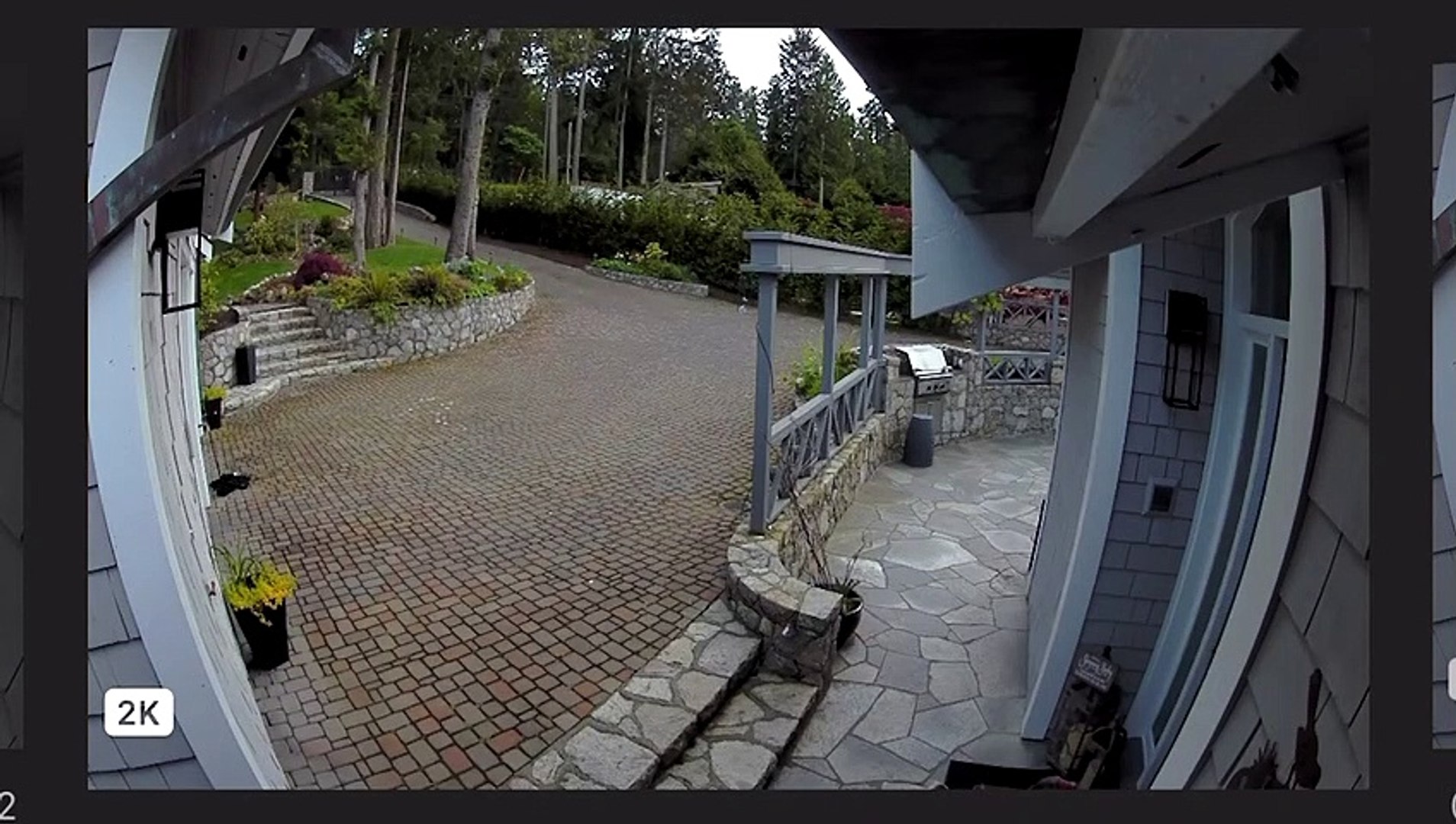 ⁣Pet Goose Gets Attacked by Eagle