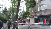 Kadıköy'de şiddetli rüzgara dayanamayan ağaç binanın üstüne devrildi