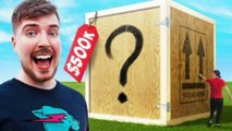 Compré la Caja Misteriosa Más Grande del Mundo $500000