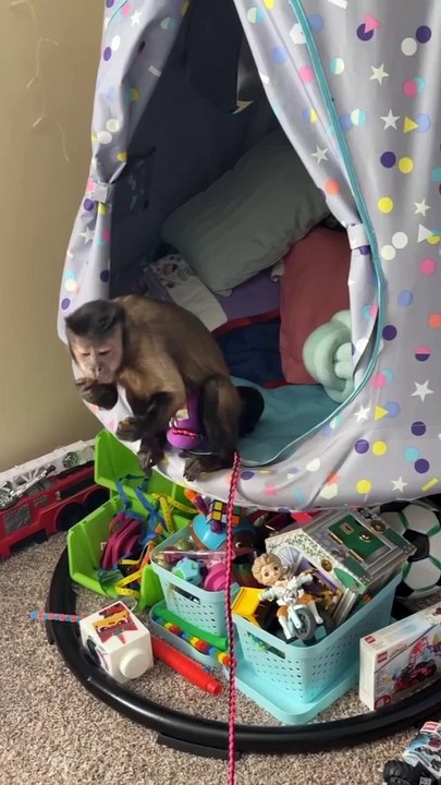 Going to my friends to cook! Come along lets go to Crystals!