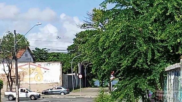 Airbus A321 PT-MXE vindo de São Luís do Maranhão/Airbus A321 PT-MXF vindo de Guarulhos