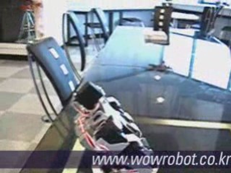 Robot Korea