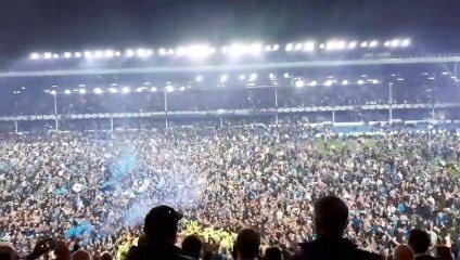 Unbelievable scenes from the fans on the Goodison Park pitch as Everton confirm their Premier League survival