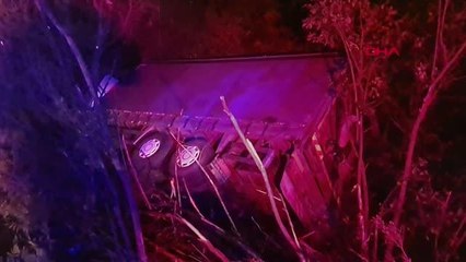 KAMYON AĞAÇLIK ALANA DEVRİLDİ