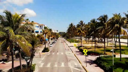 Community pushes for more tree canopy in Miami