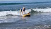 Dog Enjoys Surfing At Coronado Dog Beach