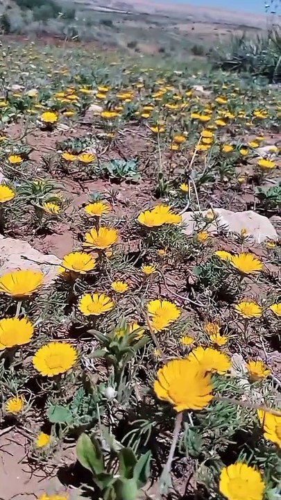 Ait bou Ali tidili massfioua Marrakech Maroc