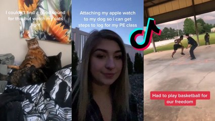 Funny TikToks to keep you awake at night