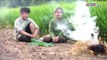 Khoai và Lúa Phần 2 - Thế Giới Cổ Tích - THVL1 - co tich Viet Nam khoai va lua phan 2 - Tap 2