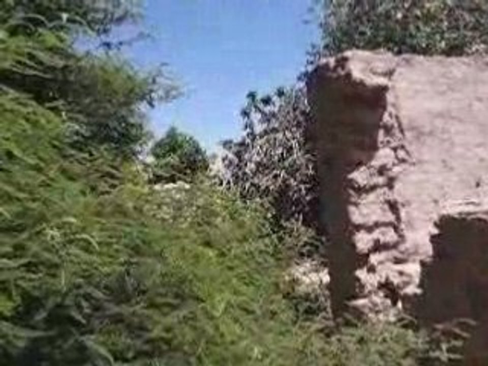 Casanavarro
