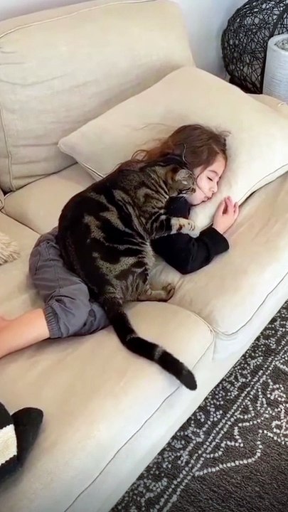 القطه مش راضيه تبعد عنها  | You don't want to get away from her