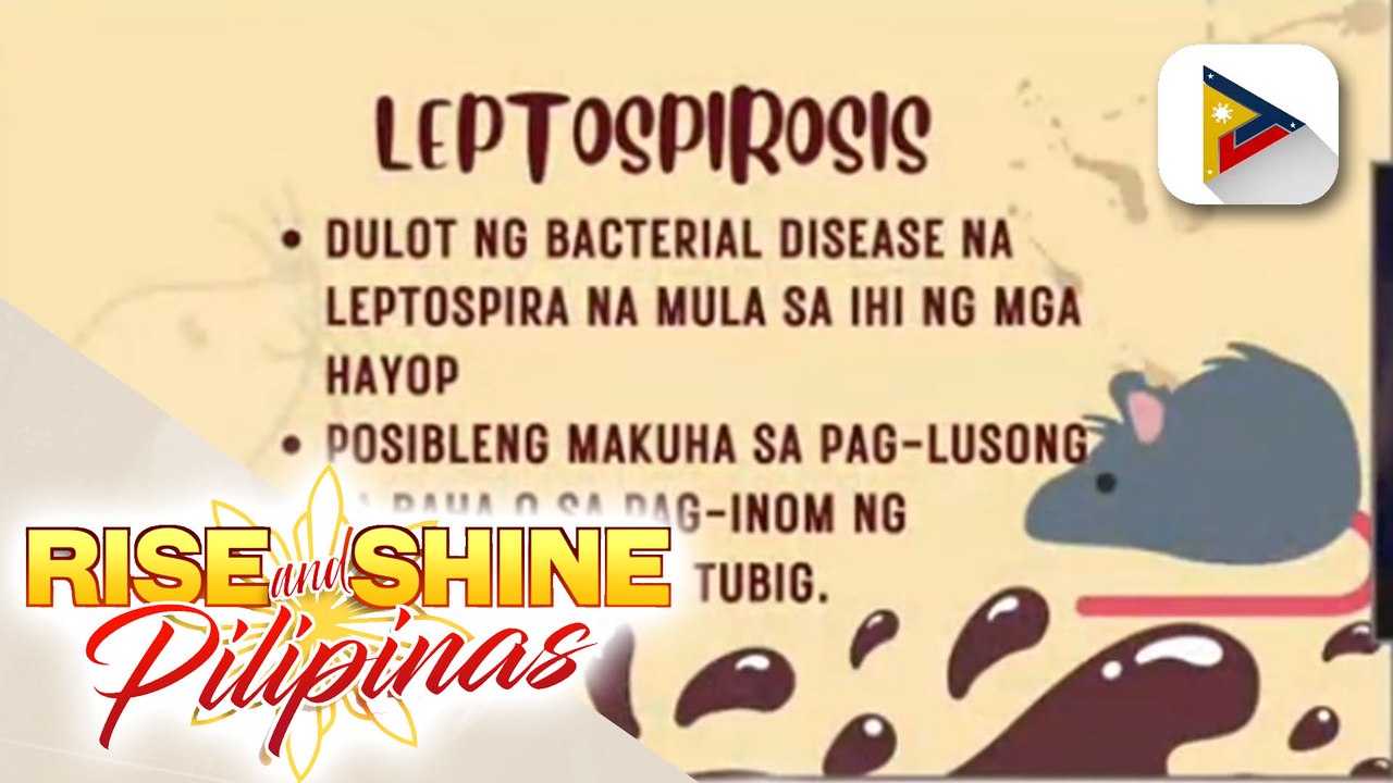 SAY NI DOK | Alamin kung ano nga ba ang leptospirosis