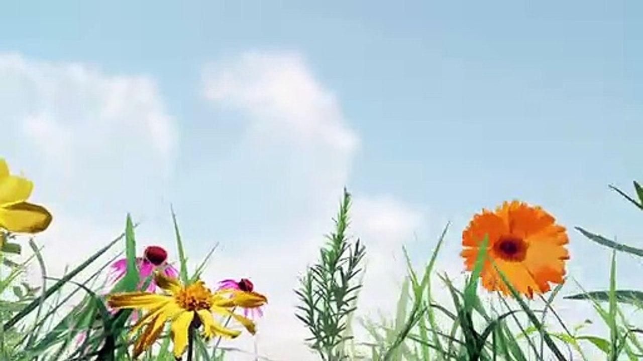 Was sind affektive Störungen