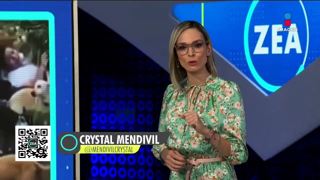 Denuncian maltrato a perros en guardería de mascotas en Veracruz