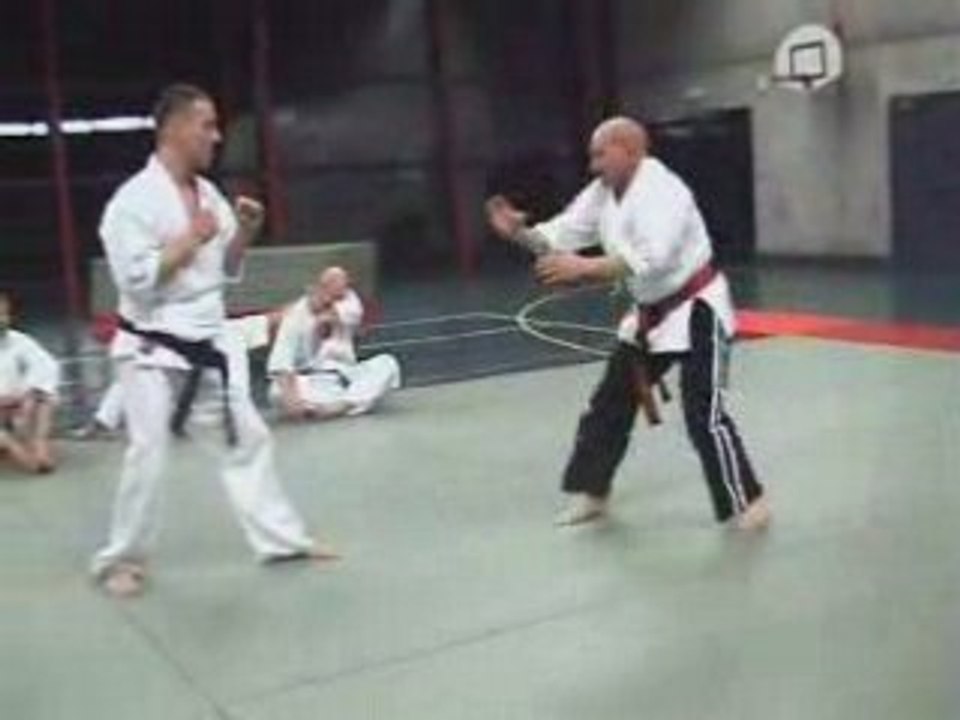Goshindo 10 3 08