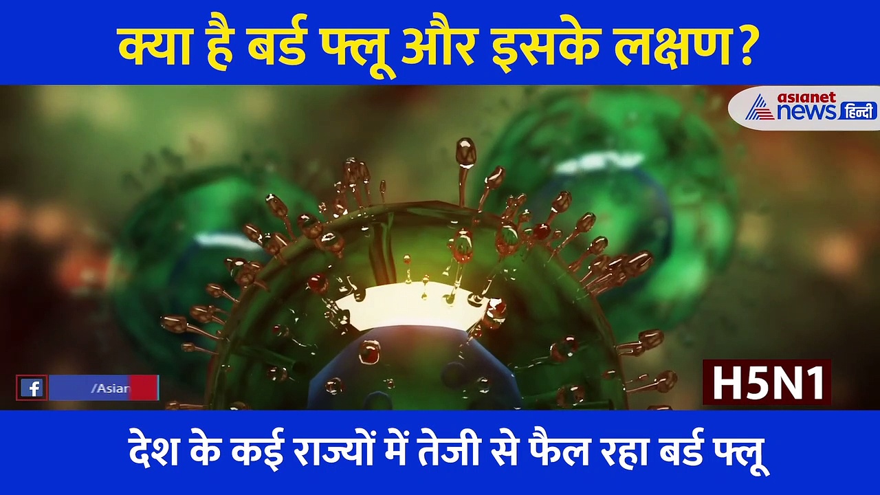 देश में कोरोना से भी ज्यादा बर्ड फ्लू का खतरा, जानें क्या हैं इस बीमारी के लक्षण और बचाव