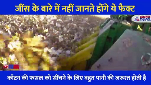 आज के बाद या तो आप जींस खरीदेंगे नहीं और अगर पहनेंगे तो सोचने पर मजबूर कर देंगे ये फैक्ट, समझिए
