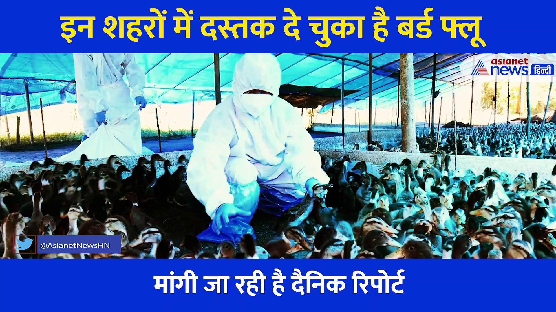 कहीं आपके शहर में तो नहीं फैल गया बर्ड फ्लू?