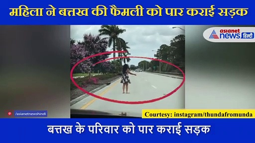 बत्तख की फैमली को  ऐसे पार कराई सड़क,  महिला की इंसानियत ने जीता लोगों का दिल