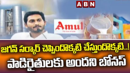 జగన్ సర్కార్ చెప్పిందొక్కటి చేస్తుందొక్కటి..! పాడిరైతులకు అందని బోనస్ || CM Jagan || ABN Telugu