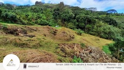 Terrain 1800 M2 à vendre à Haapiti sur l'île de Moorea - 21.