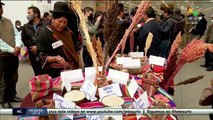 Productores bolivianos de quinua manifiestan preocupación por bajos precios