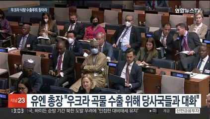 러 봉쇄로 묶인 우크라 곡물 수출길 마련 분주…책임공방도