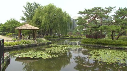 [날씨] 오늘 낮 더위, 서울 25.4℃...호남 한때 소나기 / YTN