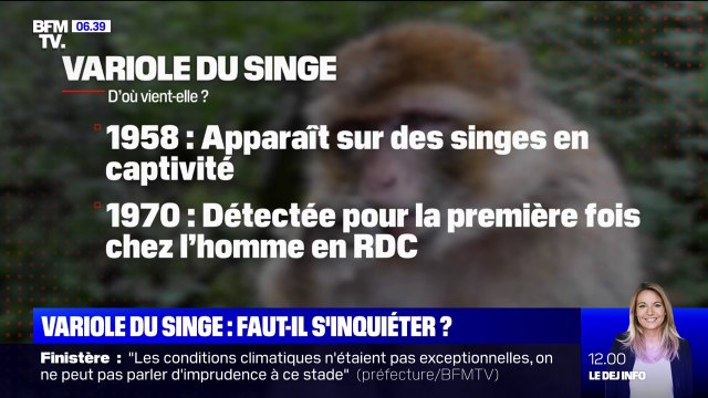 Transmission, symptômes, traitement: ce qu'il faut savoir sur la variole du singe