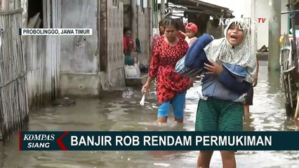 Banjir Rob Rendam Pemukiman Warga dan Jebol Tanggul Penahan Ombak