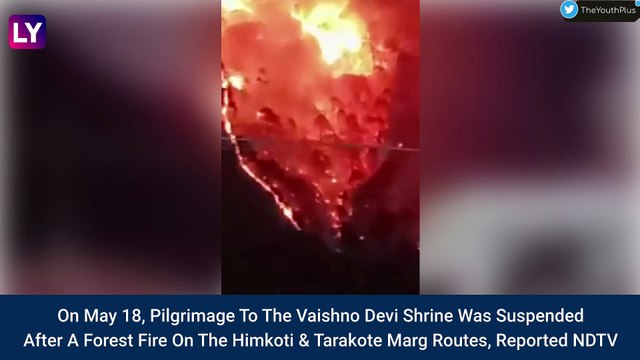 Forest Fire Breaks Out In Jammu Forests, Mata Vaishno Devi Shrine Yatra Suspended
