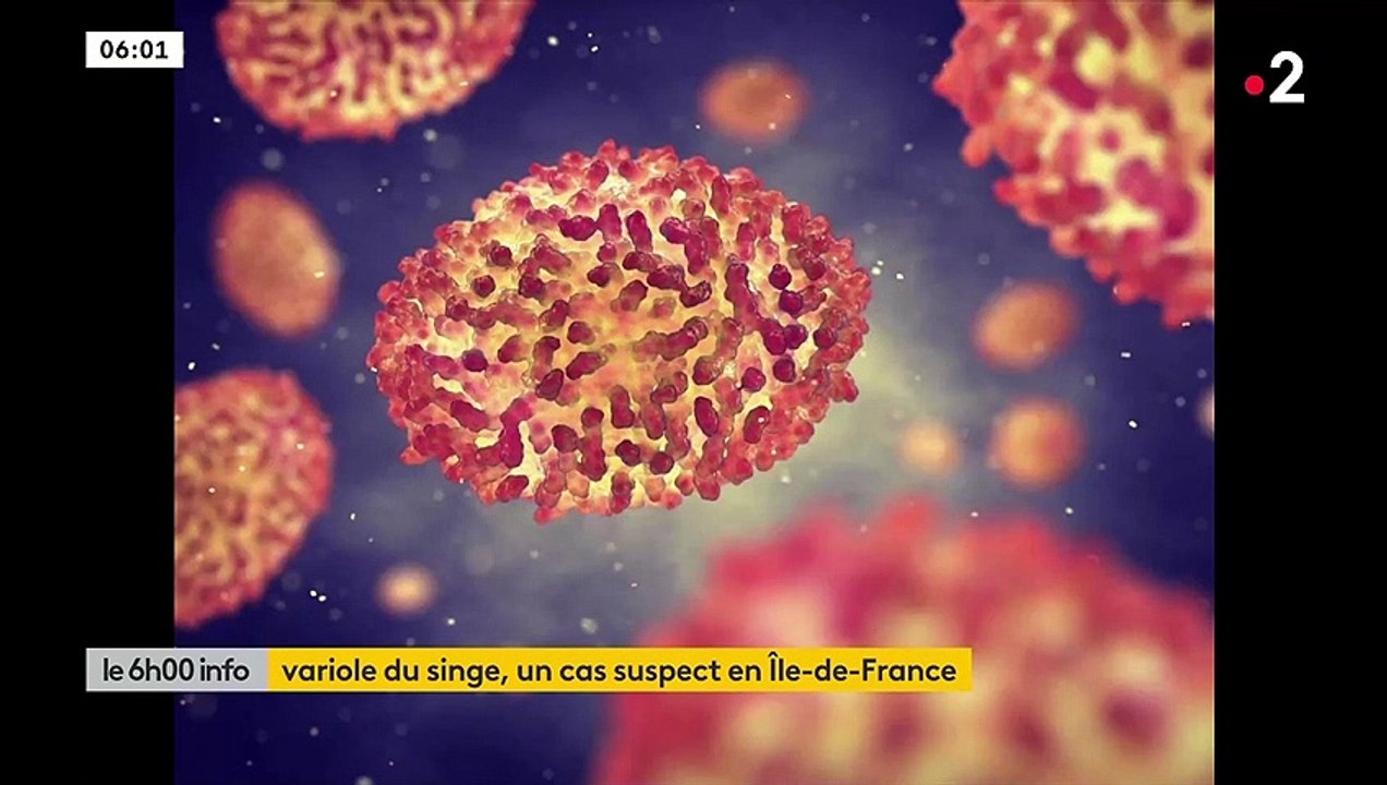 Variole du singe : Que sait-on sur l'histoire de ce virus et existe-t-il des façons de se protéger ?