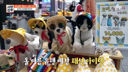 [선공개] 애견용품 박람회의 숨겨진 갑부가 있다? 환경과 반려견 모두를 생각한 일석이조의 아이템!
